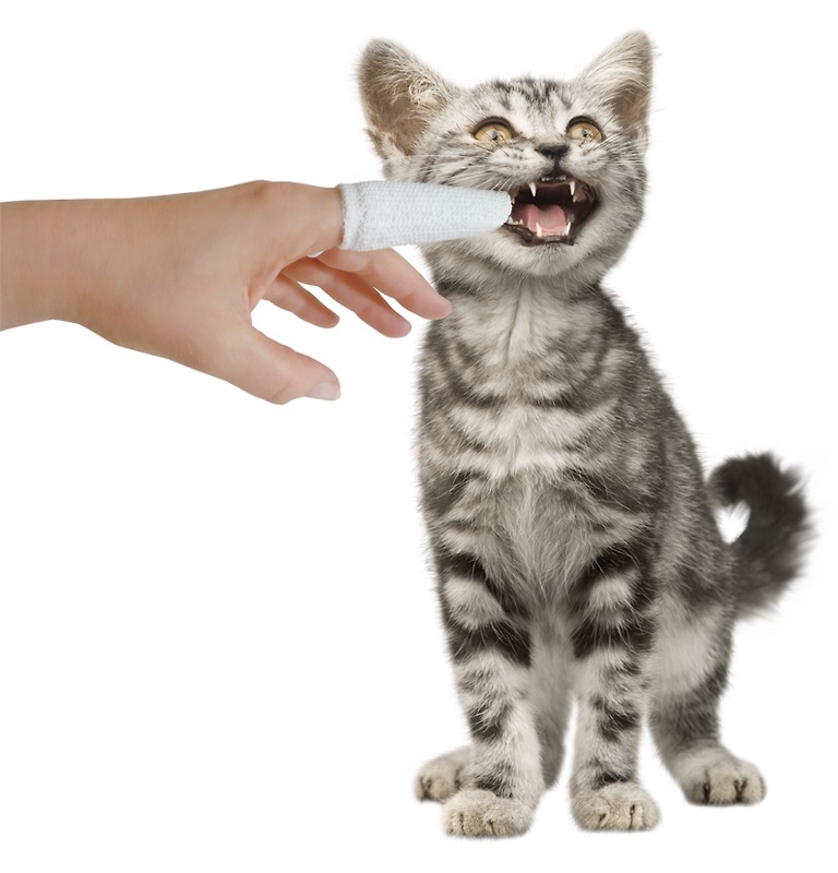 Micromed Cat Finger czyścik do zębów S dla kotów i małych psów 6 cm