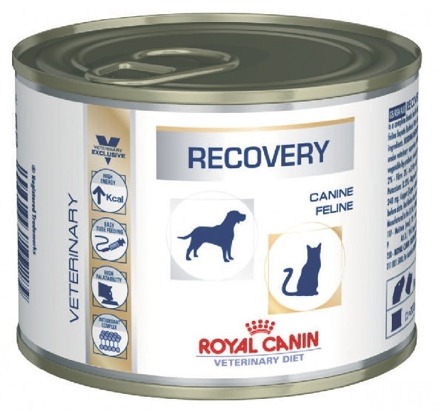 Zdjęcie Royal Canin VD Recovery Canine - Feline   puszka 195g