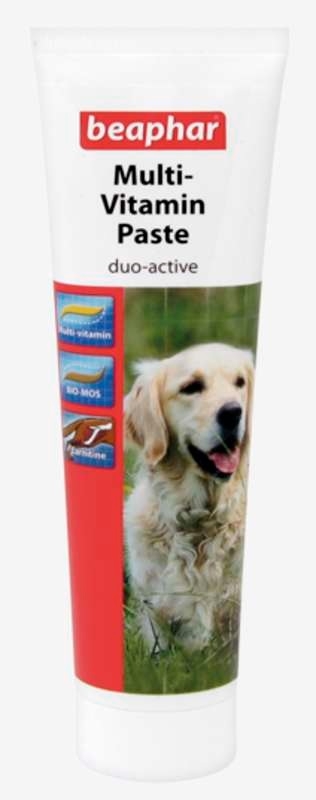 Zdjęcie Beaphar Pasta multiwitaminowa Duo Active dla psa  poprawiająca kondycję / trawienie / sierść 100g