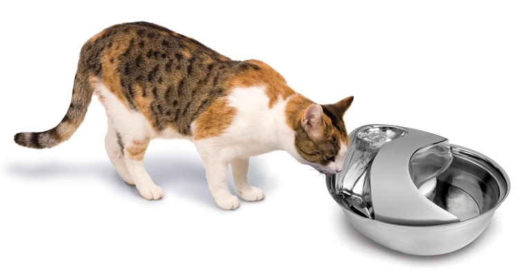 Zdjęcie Pioneer Pet Stalowa fontanna Rain Drop Style duża srebrna dla kotów i małych psów 2.84l