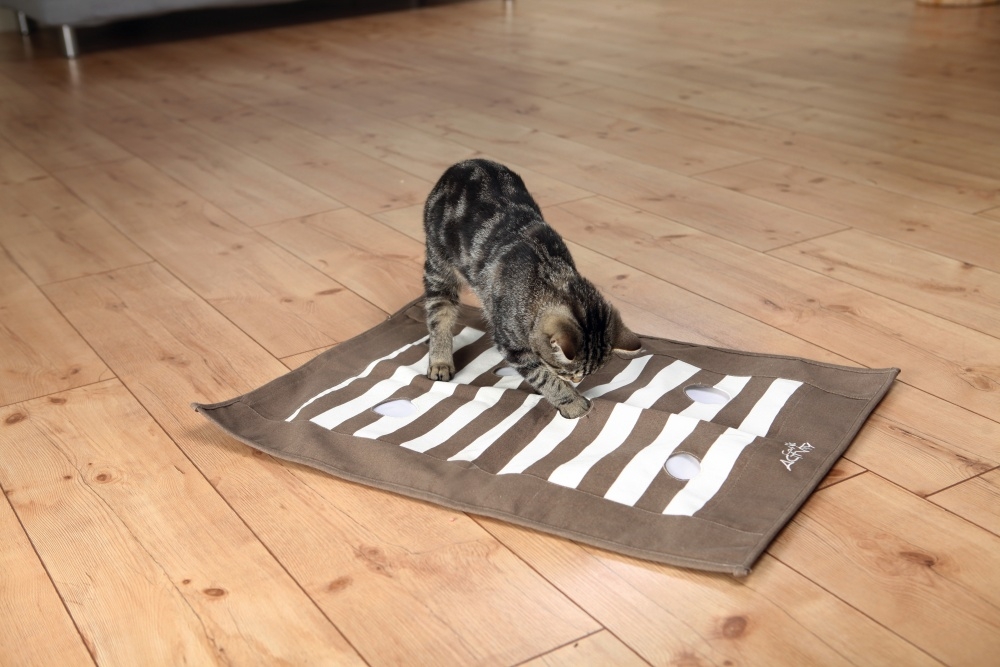 Zdjęcie Trixie Cat Activity szeleszczący kocyk płócienny  do zabawy i przysmaków 70 x 50 cm