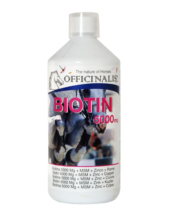 Zdjęcie Officinalis Biotin 5000 + MSM syrop dla zdrowych kopyt, sierści i skóry  1000ml
