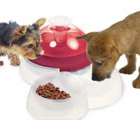 Zdjęcie DogIt Poidełko fontanna  dla kotów i psów 3.0l