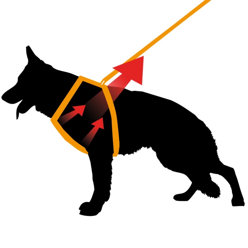 Zdjęcie Ferplast Ergocomfort szelki dla psa  czerwone XL