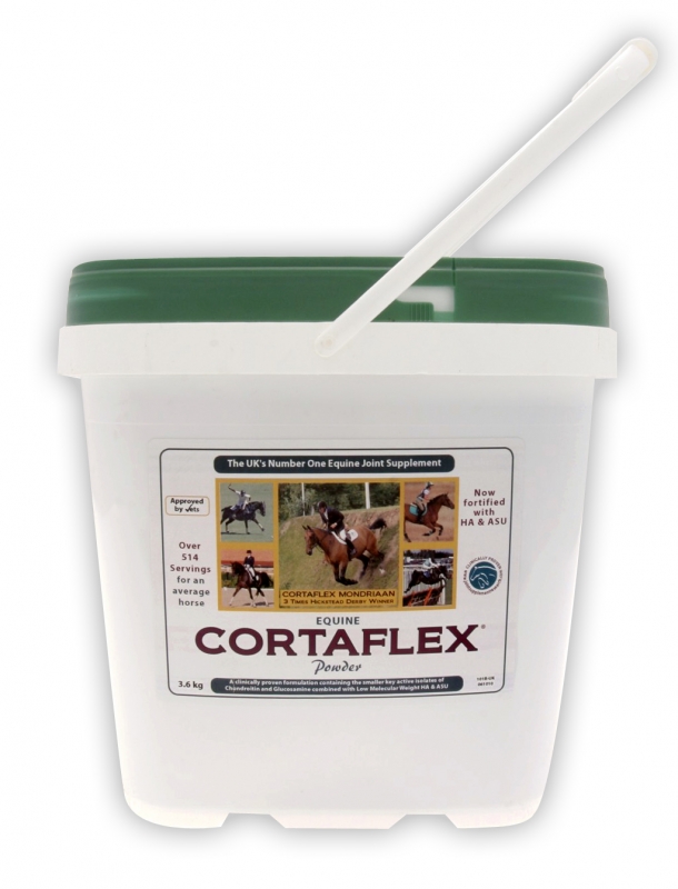 Equine America Cortaflex HA Regular Powder proszek 3.6kg
