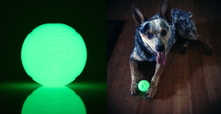 Zdjęcie Chuckit! Max Glow Ball piłka świecąca w ciemności dla psa Large 
