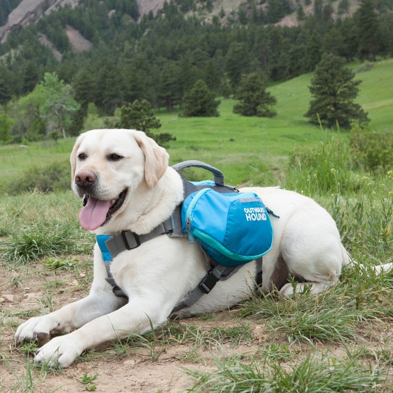 Zdjęcie Outward Hound DayPak™ plecak dla psa small  niebieski 28,9 x 19,7 cm