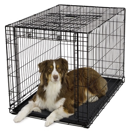 Zdjęcie Midwest Klatka dla psa Oviation  składana z wysuwanymi drzwiczkami 111 x 72 x 77 cm