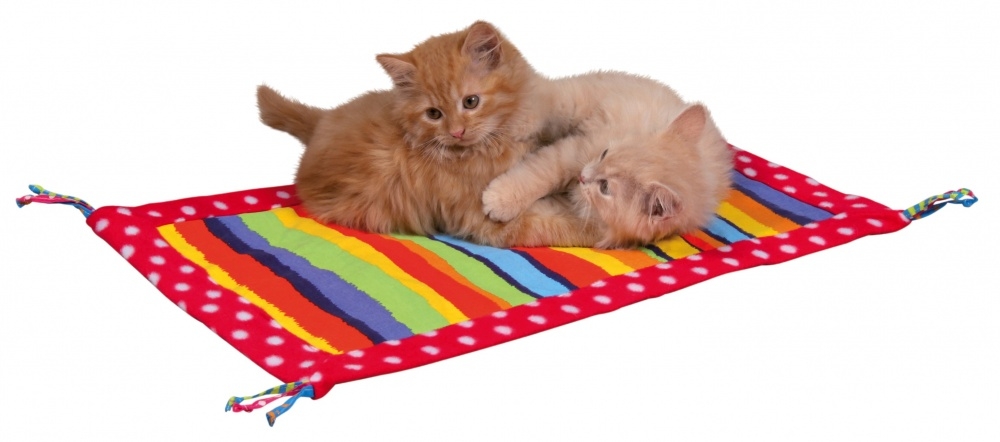 Zdjęcie Trixie Szeleszczący kocyk do zabawy  kolorowy 55 x 37cm