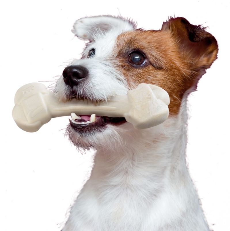 Zdjęcie Ferplast GoodBite Natural zabawka kość dla psa XS 8 cm zboża 2 szt.