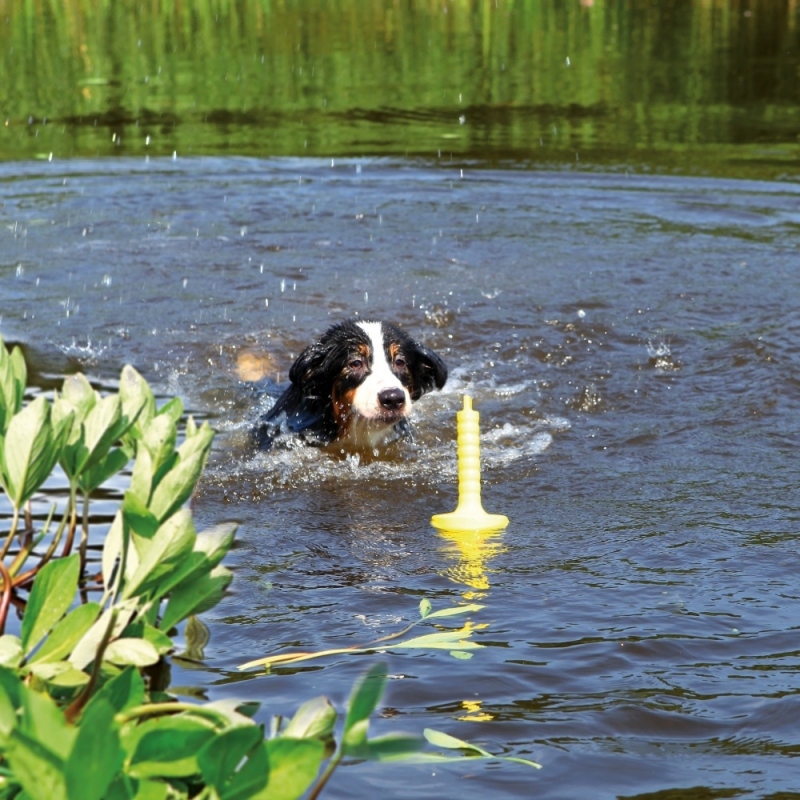 Zdjęcie Trixie Dog Acitivity MOT®-Aqua zabawka pływająca  29 cm 