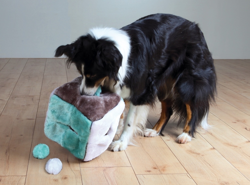Zdjęcie Trixie Sześcian pluszowy z piłkami  zabawka edukacyjna dla psa 