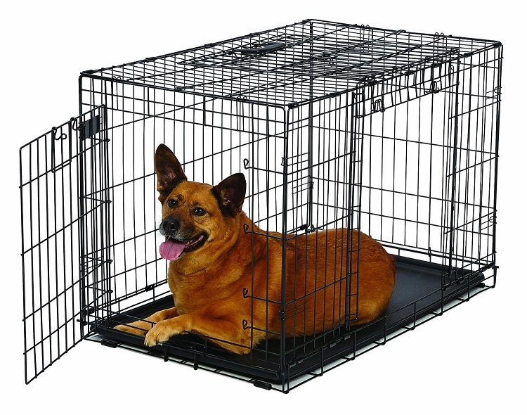 Zdjęcie Midwest Klatka dla psa Oviation Double Door  składana z podwójnymi drzwiczkami 93 x 64 x 69 cm