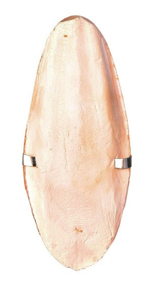 Trixie Sepia duża 16 cm