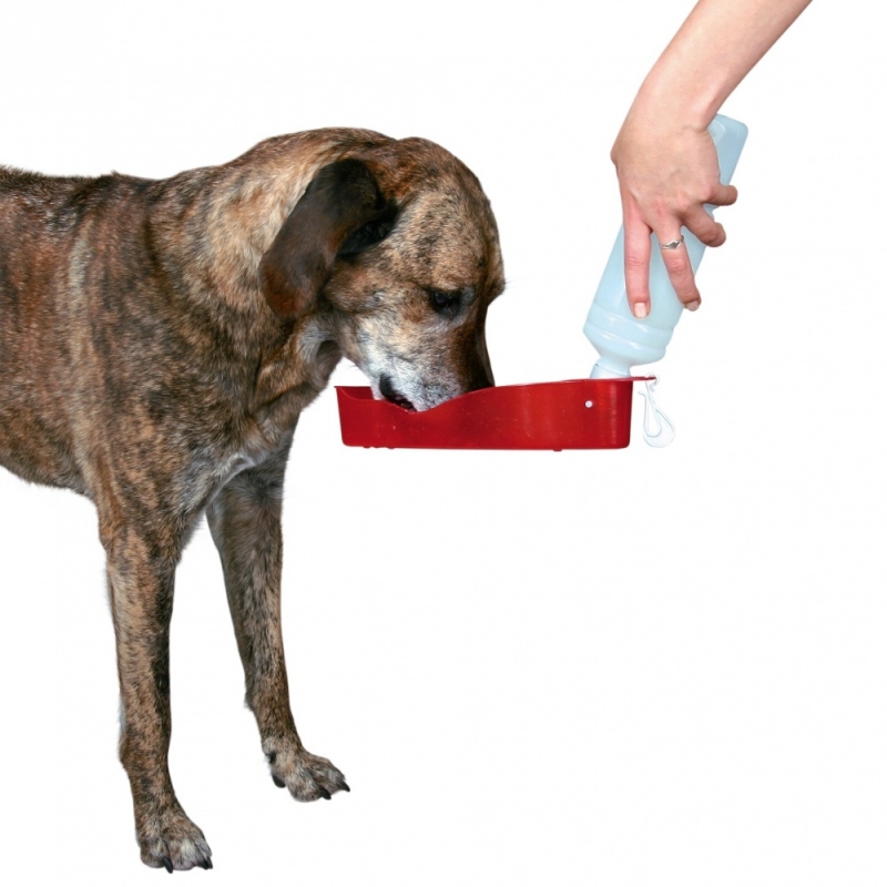 Zdjęcie Trixie Butelka z miską na wodę dla psa  mała 0.25l
