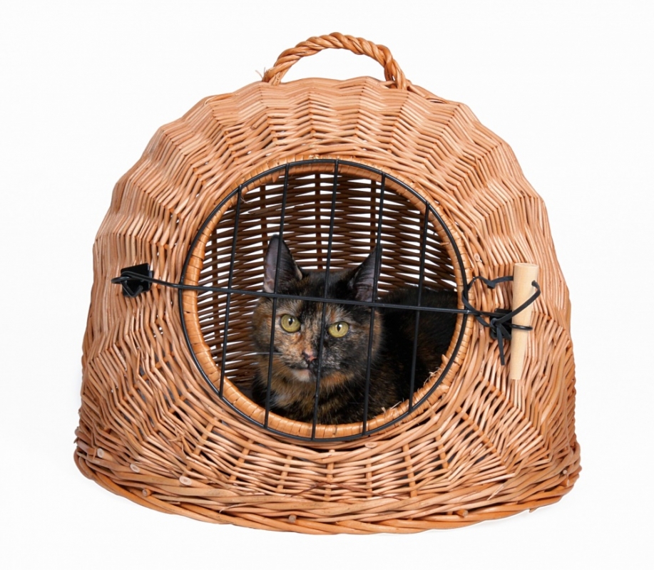 Zdjęcie Trixie Kosz wiklinowy dla kota  legowisko i transporter w jednym ø 50 cm