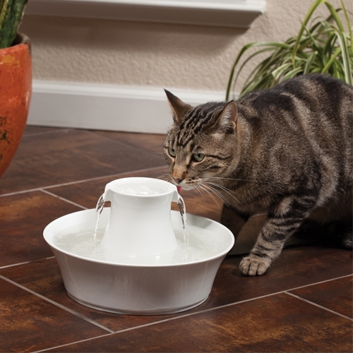 Zdjęcie Drinkwell Fontanna Avalon ceramiczna  dla kotów i psów 2l