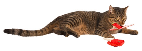Zdjęcie Kerbl Naturalna zabawka dla kota z trukwy  klapek z kocimiętką 14,5 cm