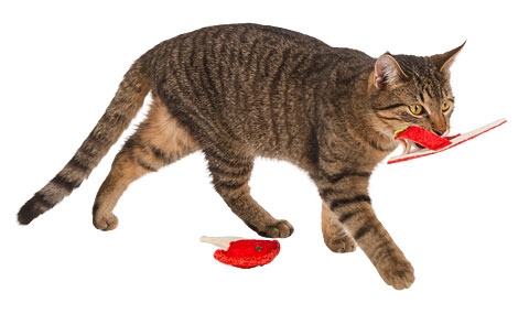 Zdjęcie Kerbl Naturalna zabawka dla kota z trukwy  klapek z kocimiętką 14,5 cm