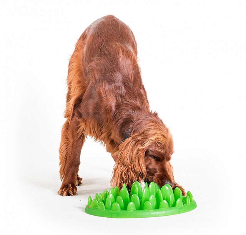 Zdjęcie Northmate Miska interaktywna dla psa Green Large spowalniająca jedzenie 41 x 39,5 cm 