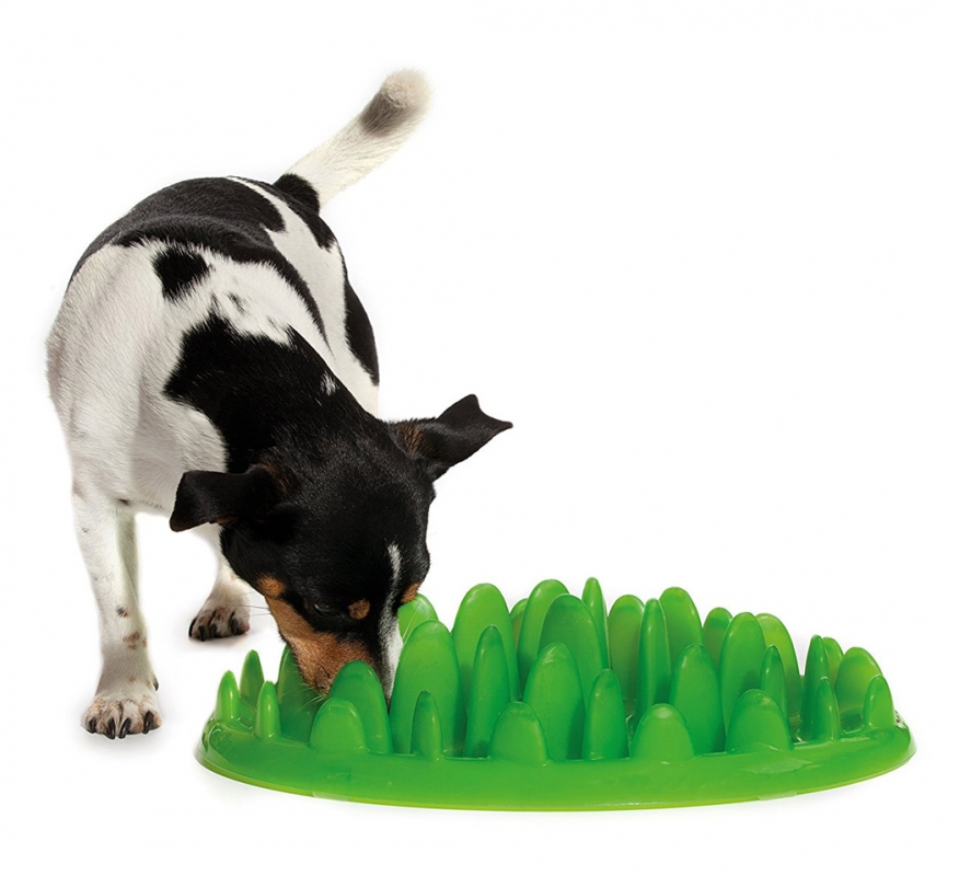 Zdjęcie Northmate Miska interaktywna dla psa Green Mini spowalniająca jedzenie 29 x 23 cm 