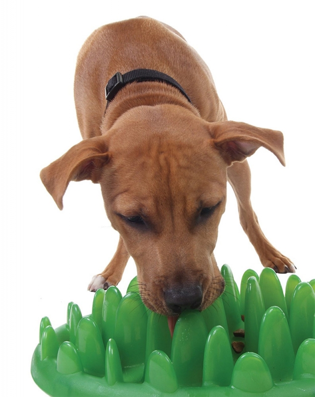 Zdjęcie Northmate Miska interaktywna dla psa Green Mini spowalniająca jedzenie 29 x 23 cm 