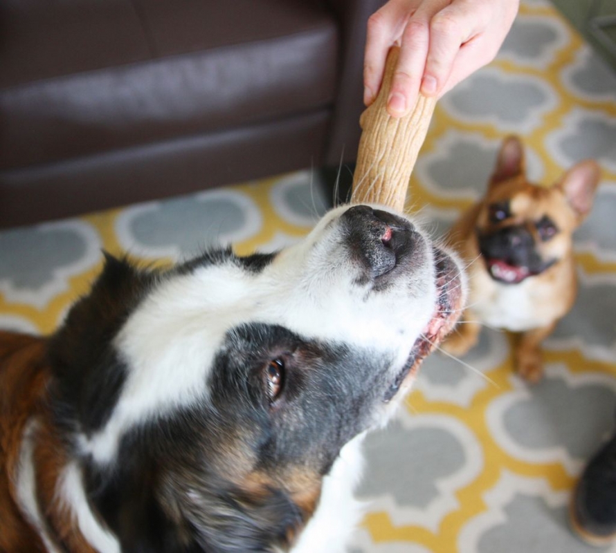 Zdjęcie Petstages Chew: DogWood Large  patyk do gryzienia dla dużych ras 