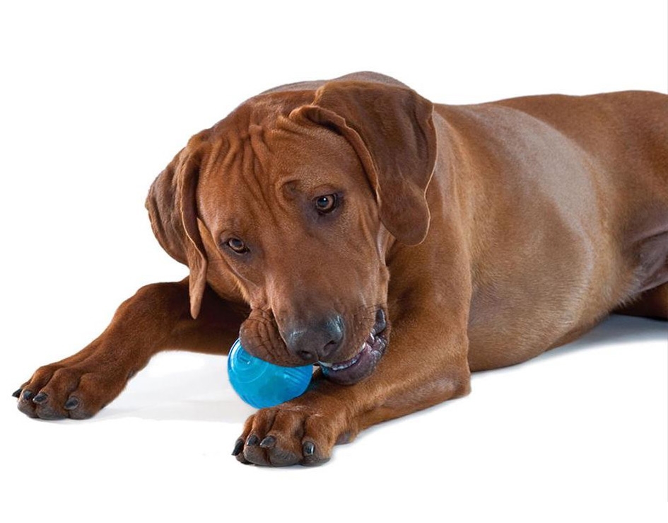 Zdjęcie Petstages Chewing: Orka Ball  zabawka piłka mała  śr. 6,5 cm