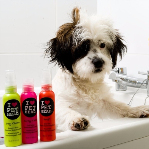 Zdjęcie Pet Head Oatmeal Natural Shampoo szampon do wrażliwej skóry  354ml