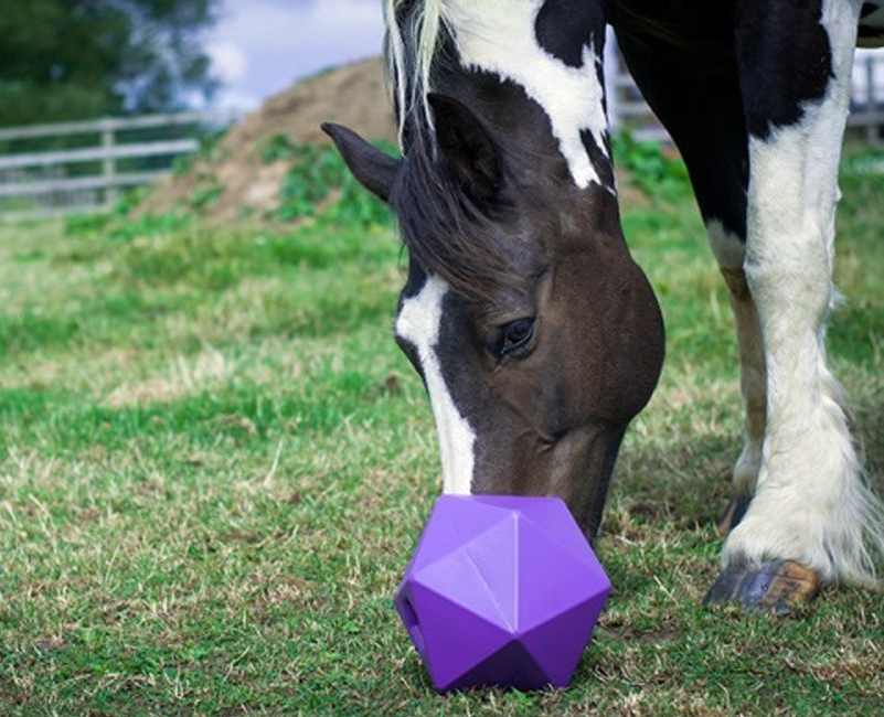 Zdjęcie Tubtrugs Dripfeed piłka snack ball na przysmaki  dla konia 