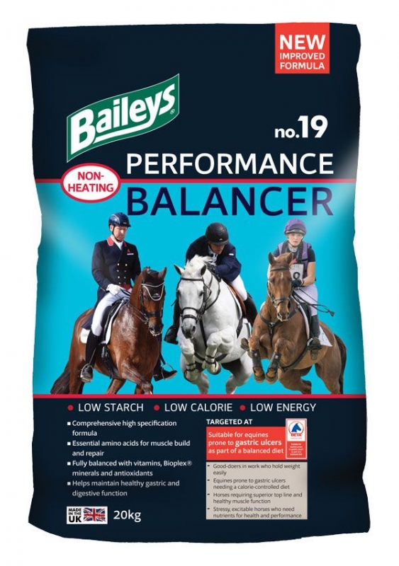 Zdjęcie Baileys No. 19 Performance Balancer   20kg