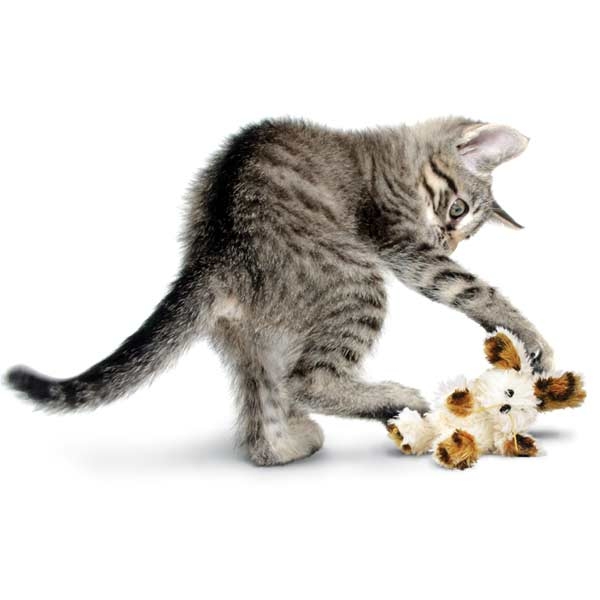 Zdjęcie Kong Cat Toys Fuzzy Bunny zabawka dla kota z kocimiętką pluszowy kudłaty króliczek 