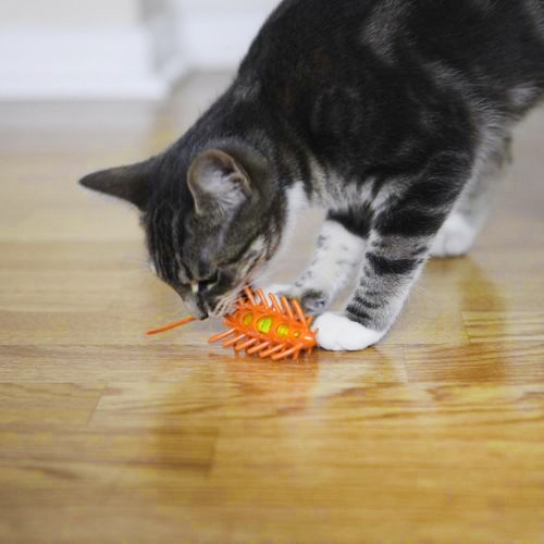 Zdjęcie L'Chic Motomouse Crittier  zabawka dla kota ruchliwa owadomyszka 13 x 4 x 4 cm