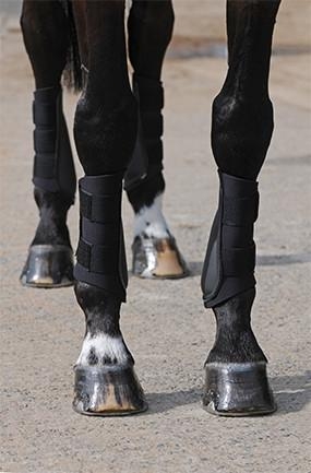 Zdjęcie Equilibrium Tri-Zone Brushing Boots ochraniacze treningowe czarne 2 szt.