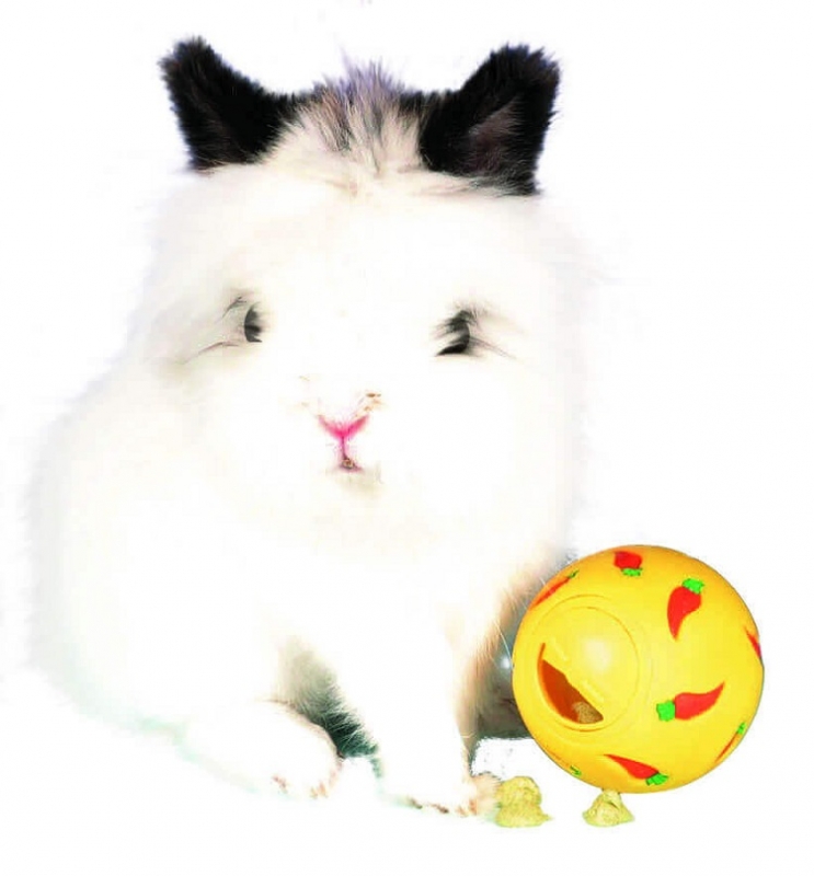 Zdjęcie Trixie Zabawka kula snack ball  dla królika śr. 7 cm