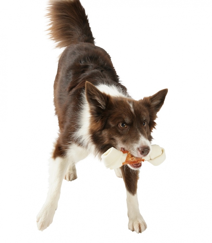 Zdjęcie Zolux Snack' przysmaki dla psów  kość wiązana z kurczakiem L 1 szt. 