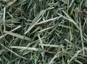 Zdjęcie Hartog Compact Gras mieszanka traw sprasowana  18kg