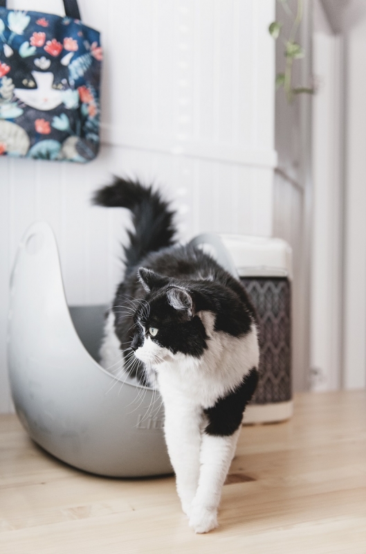 Zdjęcie Petmate Litter Locker kuweta dla kota z łopatką biała 57 x 45 x 41 cm