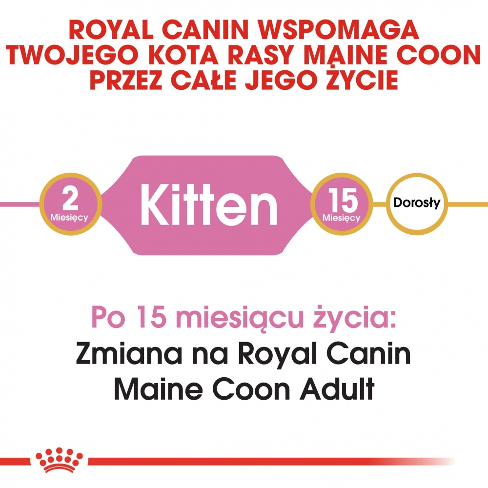 Zdjęcie Royal Canin Kitten Maine Coon   2kg