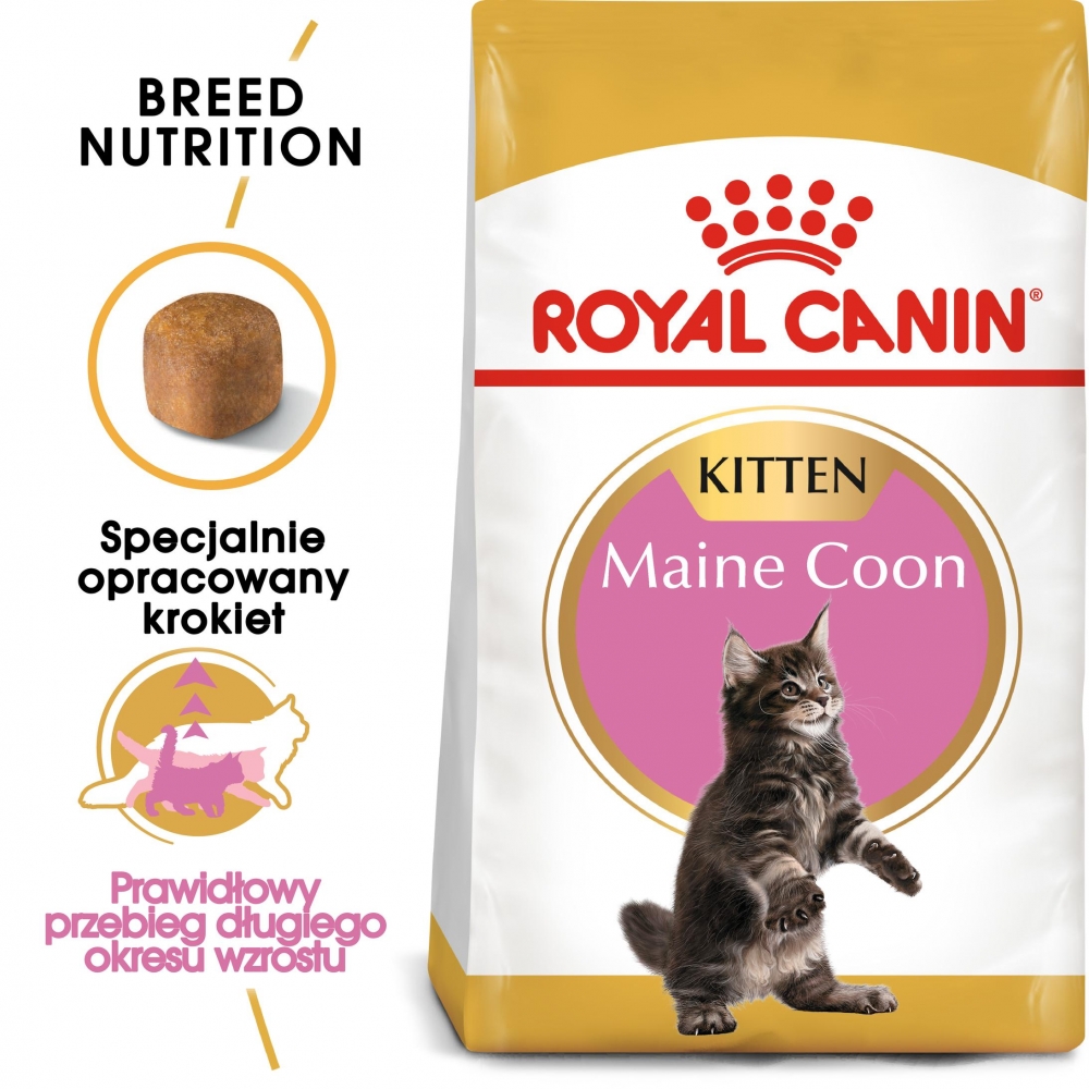 Zdjęcie Royal Canin Kitten Maine Coon   4kg