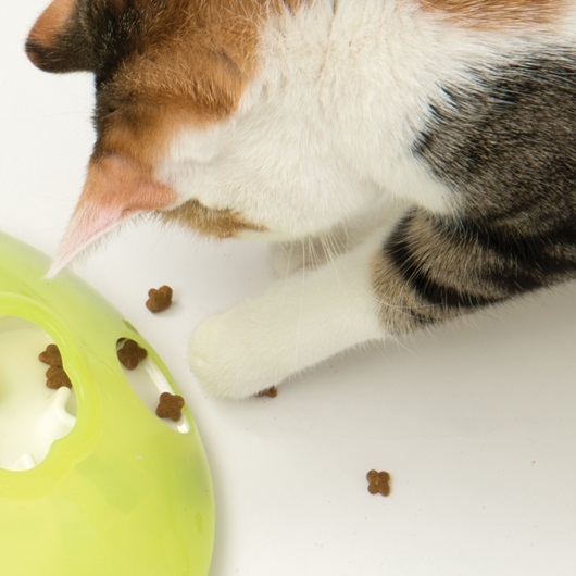 Zdjęcie catit Bączek na przysmaki Treat Spinner  zabawka do przysmaków dla kota 18,5x18,5x8 cm