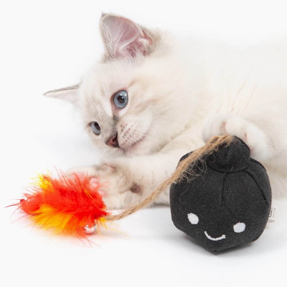 Zdjęcie catit Play Pirates zabawka dla kota  bomba z kocimiętką 8 x 8 x 26 cm