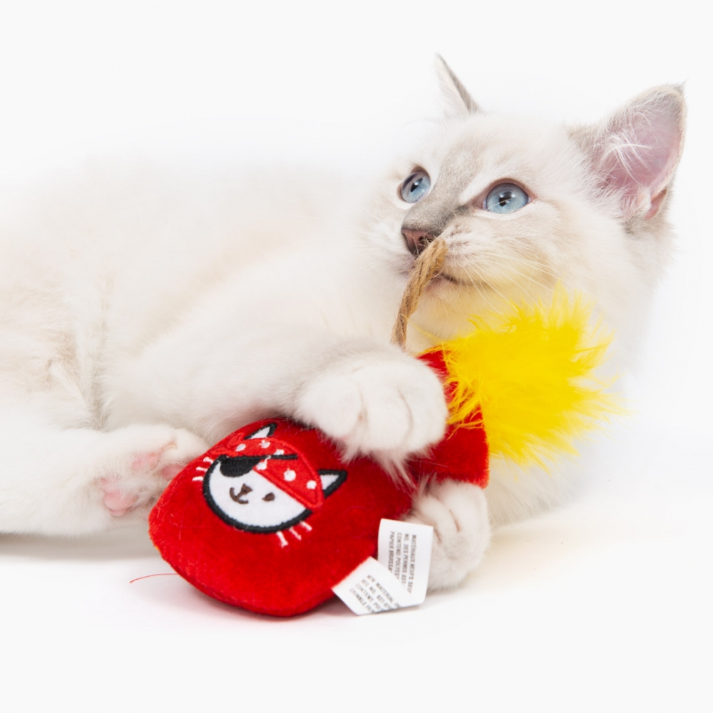 Zdjęcie catit Play Pirates zabawka dla kota  sakiewka złota z kocimiętką 8 x 4 x 16 cm