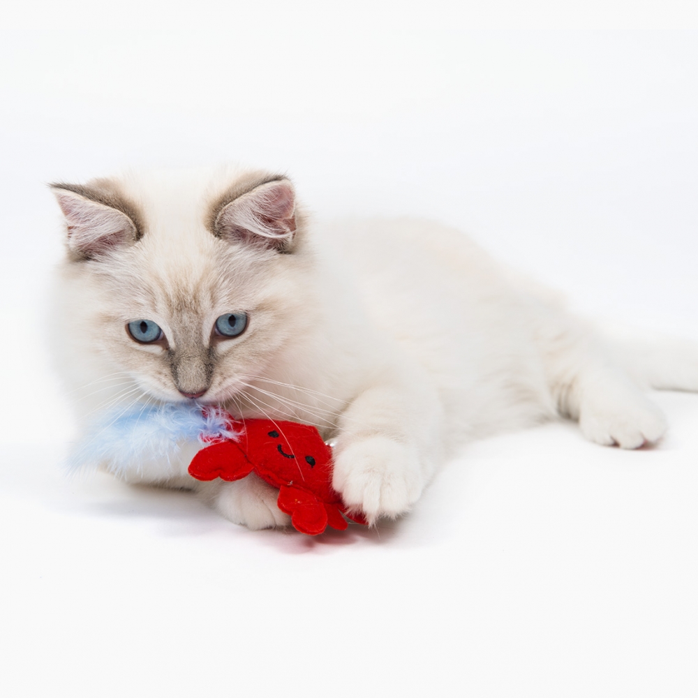 Zdjęcie catit Play Pirates zabawka dla kota  krab z kocimiętką 9 x 3 x 7 cm