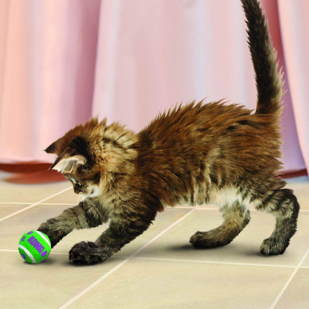 Zdjęcie Kong Piłki tenisowe z dzwonkiem dla kota   3 szt.