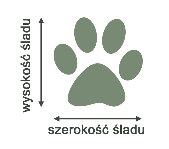 Zdjęcie Zolux Buty zimowe dla psa  srebrne T4: 5,5 x 4,5 cm