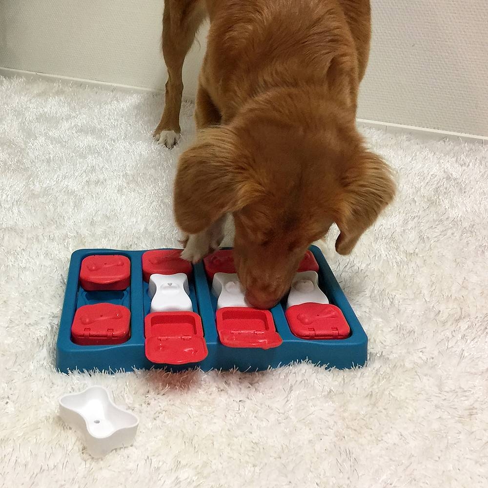 Zdjęcie Outward Hound Dog Brick poziom 2 Nina Ottosson zabawka edukacyjna dla psa 31,5 x 21 cm