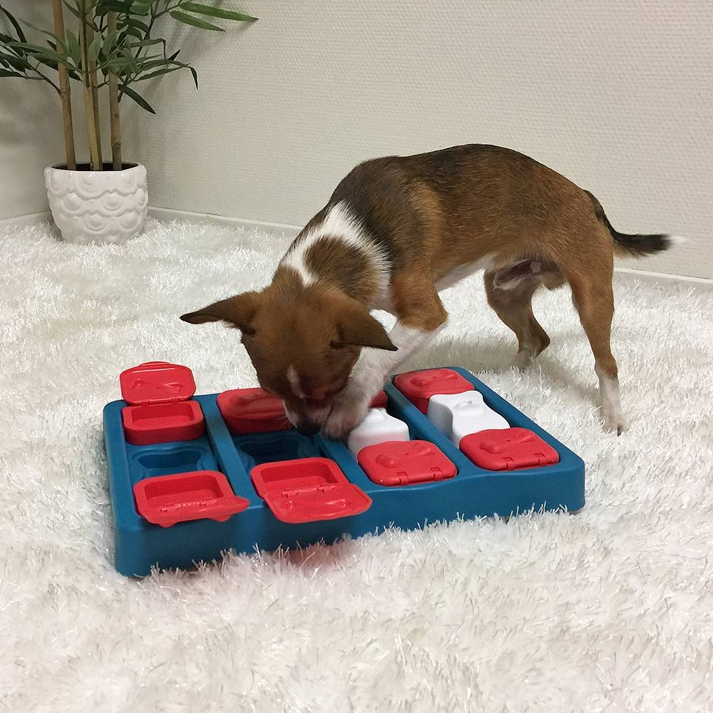 Zdjęcie Outward Hound Dog Brick poziom 2 Nina Ottosson zabawka edukacyjna dla psa 31,5 x 21 cm