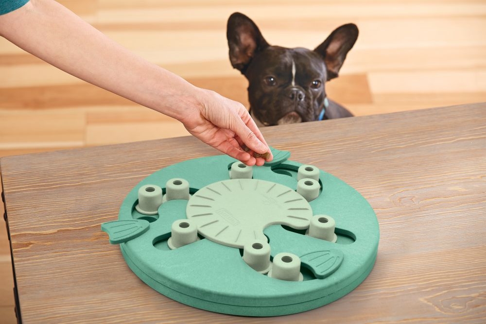 Zdjęcie Outward Hound Dog Worker Green poziom 3 Nina Ottosson zabawka edukacyjna dla psa śr. 34,5 cm