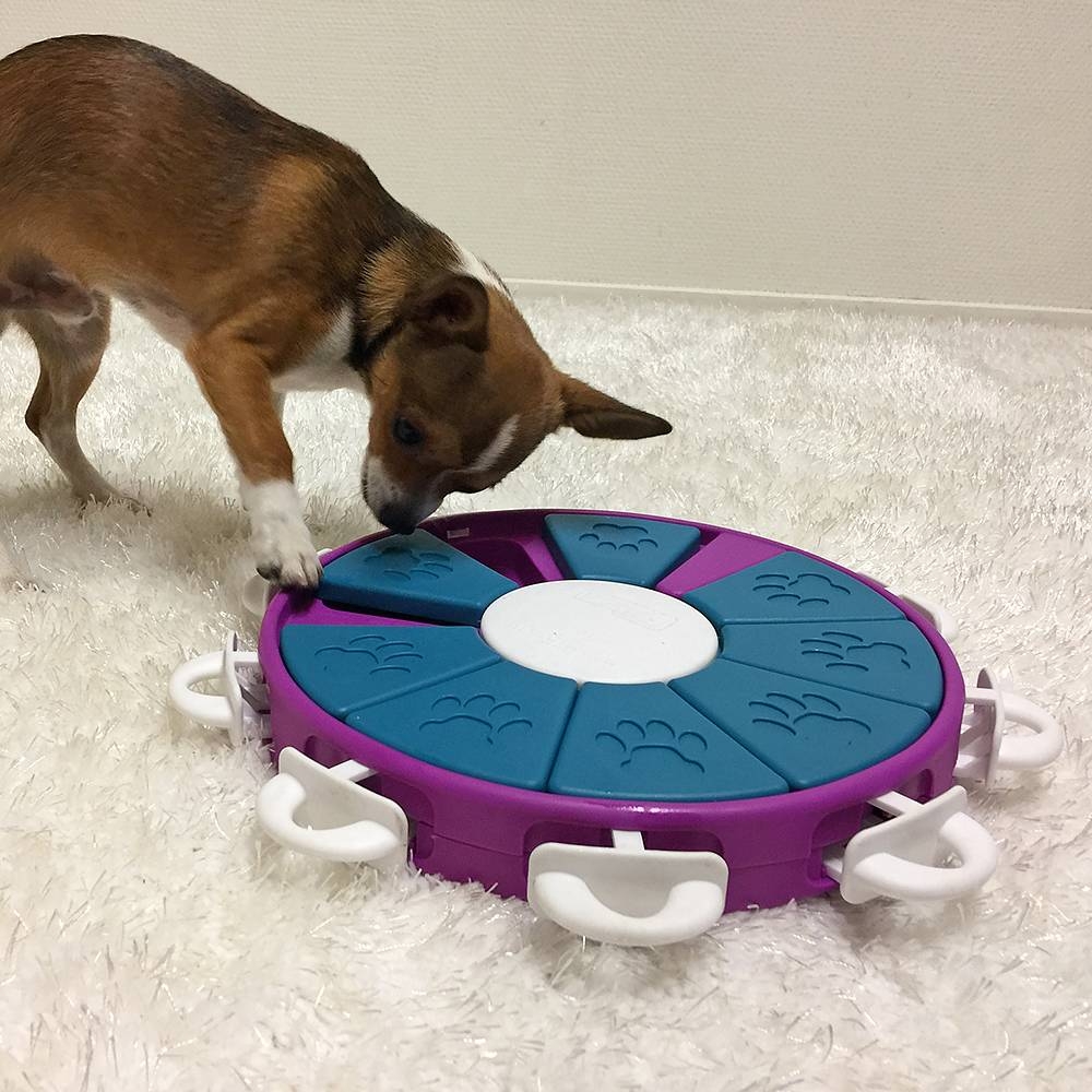 Zdjęcie Outward Hound Twister poziom 3 Nina Ottosson zabawka edukacyjna dla psa śr. 26 cm